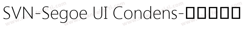 SVN-Segoe UI Condens字体转换